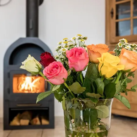 C 9 Im Froschpark Ofc 23 Privat bolig Rerik